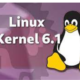 Linux Kernel 6.1
